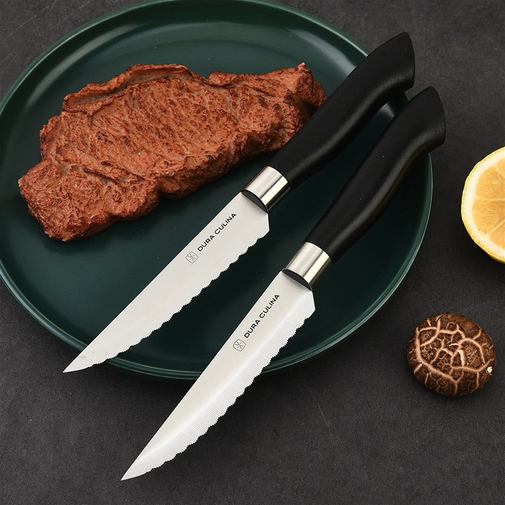4 Piece Micro Serrated Kitchen Steak Knife Set