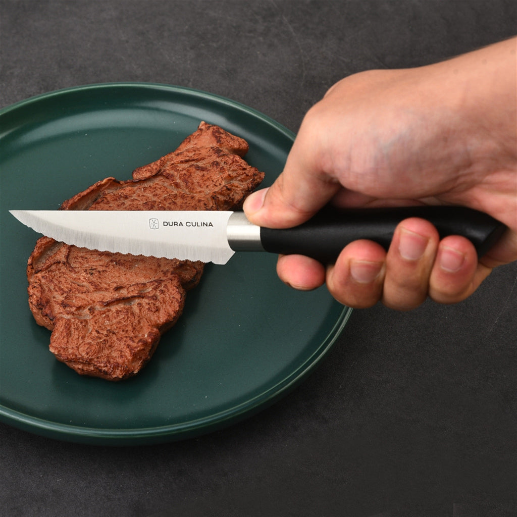 4 Piece Micro Serrated Kitchen Steak Knife Set